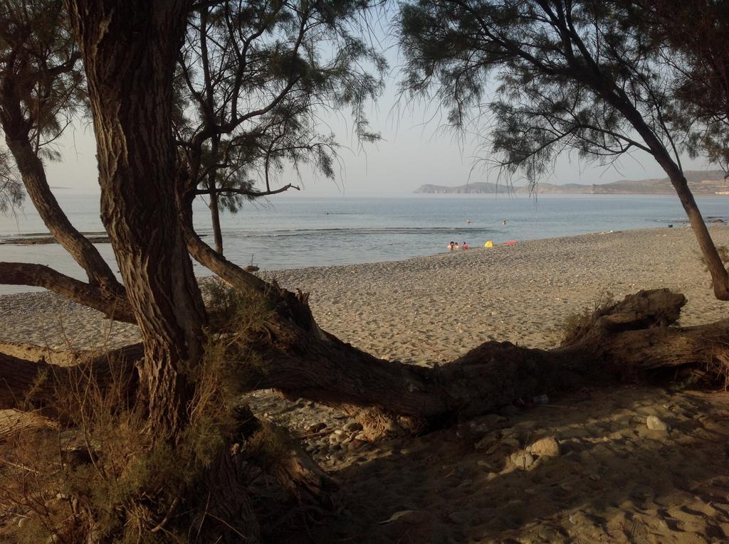 سيتيا Hotel Petras Beach المظهر الخارجي الصورة