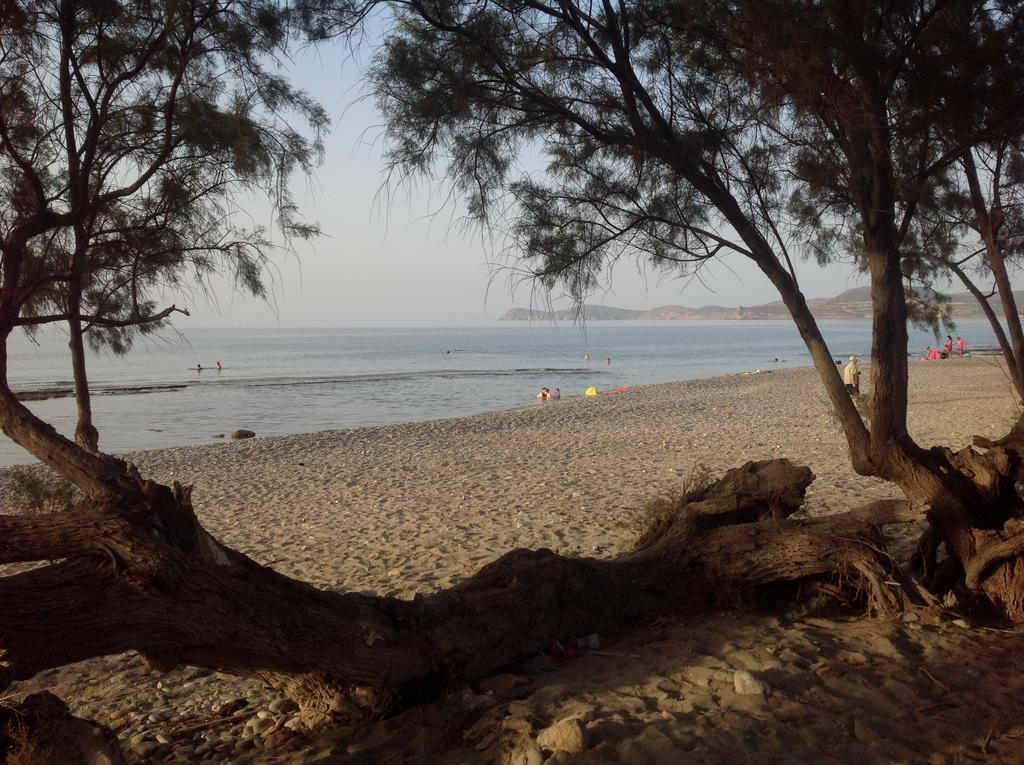 سيتيا Hotel Petras Beach المظهر الخارجي الصورة